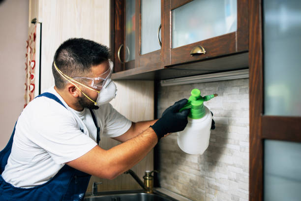 Best Ant Control Services  in Blackstone, VA