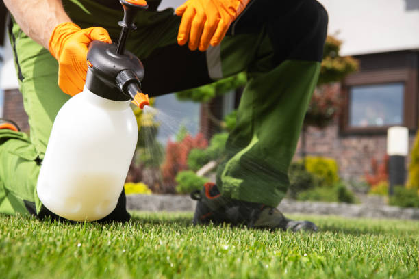 Trusted Blackstone, VA Pest Control Experts
