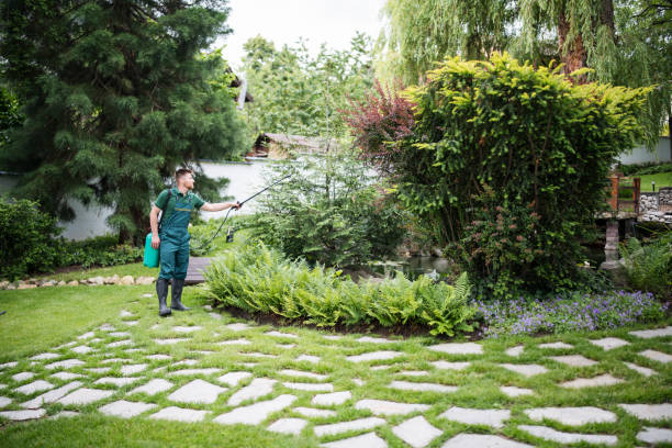 Best Best Pest Control Companies  in Blackstone, VA