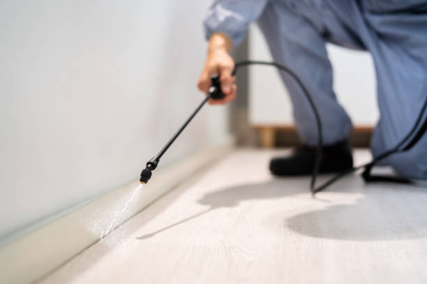 Best Mosquito Control Services  in Blackstone, VA