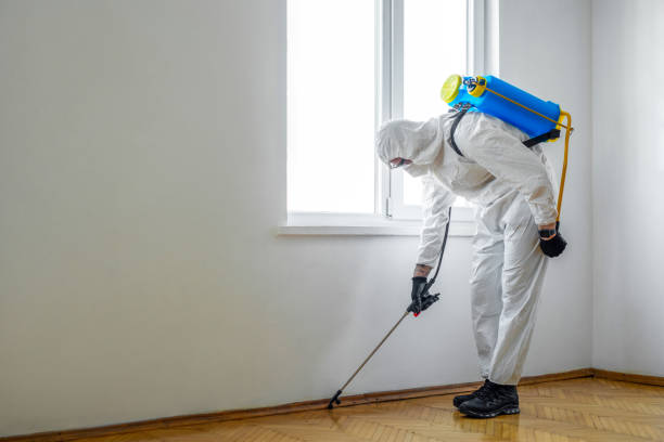 Pest Control Cost in Blackstone, VA