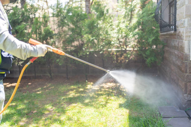 Best Insect Control  in Blackstone, VA