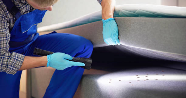 Best Pest Control Cost  in Blackstone, VA