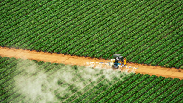 Insect Control in Blackstone, VA