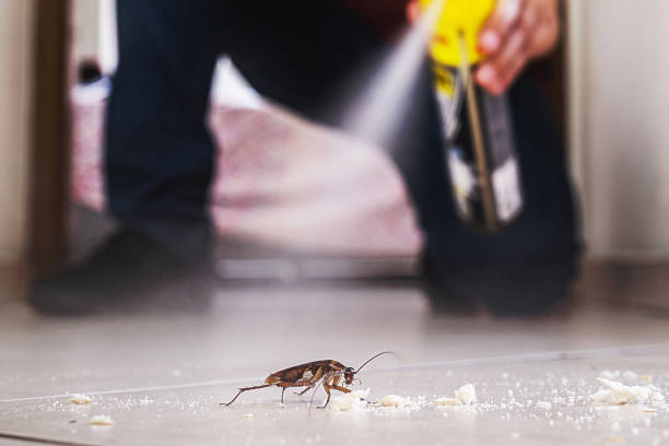 Best Wildlife Control Services  in Blackstone, VA