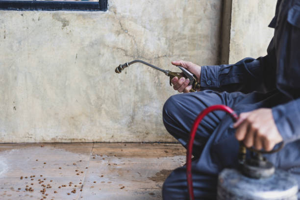 Best Pest Prevention Services  in Blackstone, VA