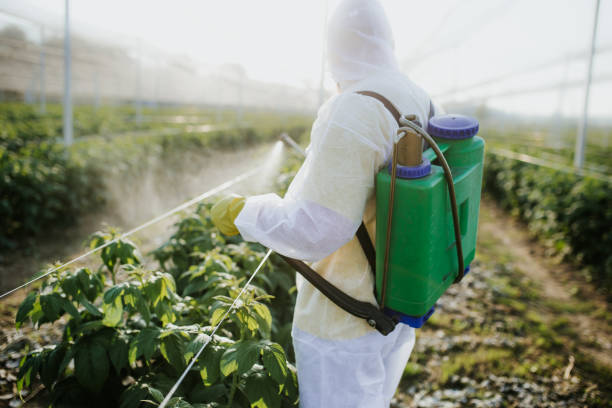 Best Bed Bug Extermination  in Blackstone, VA